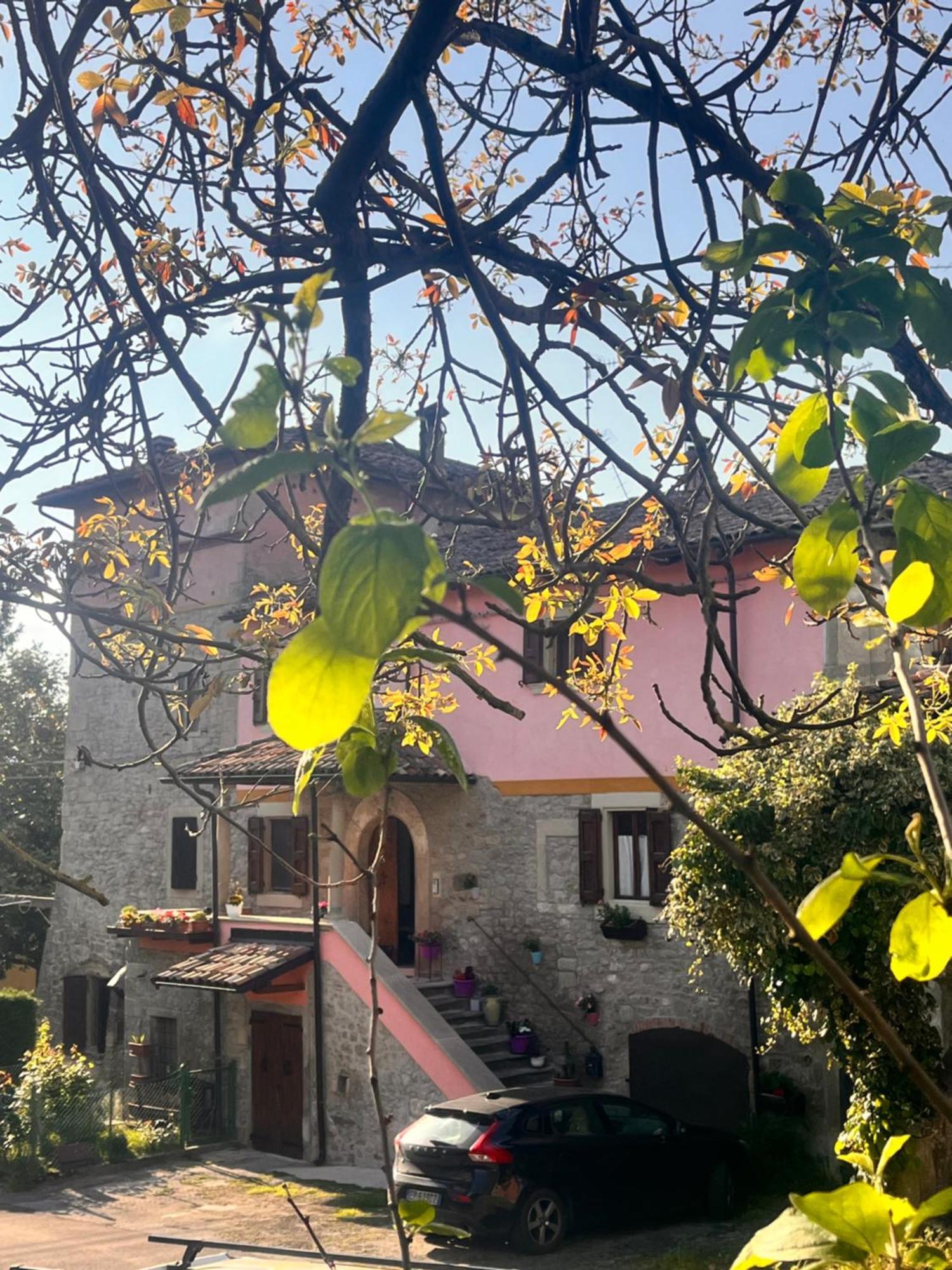 B&B Camelia Camugnano エクステリア 写真